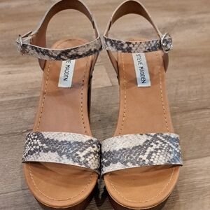 Steve Madden Gray Cream Sandals with Snake Print